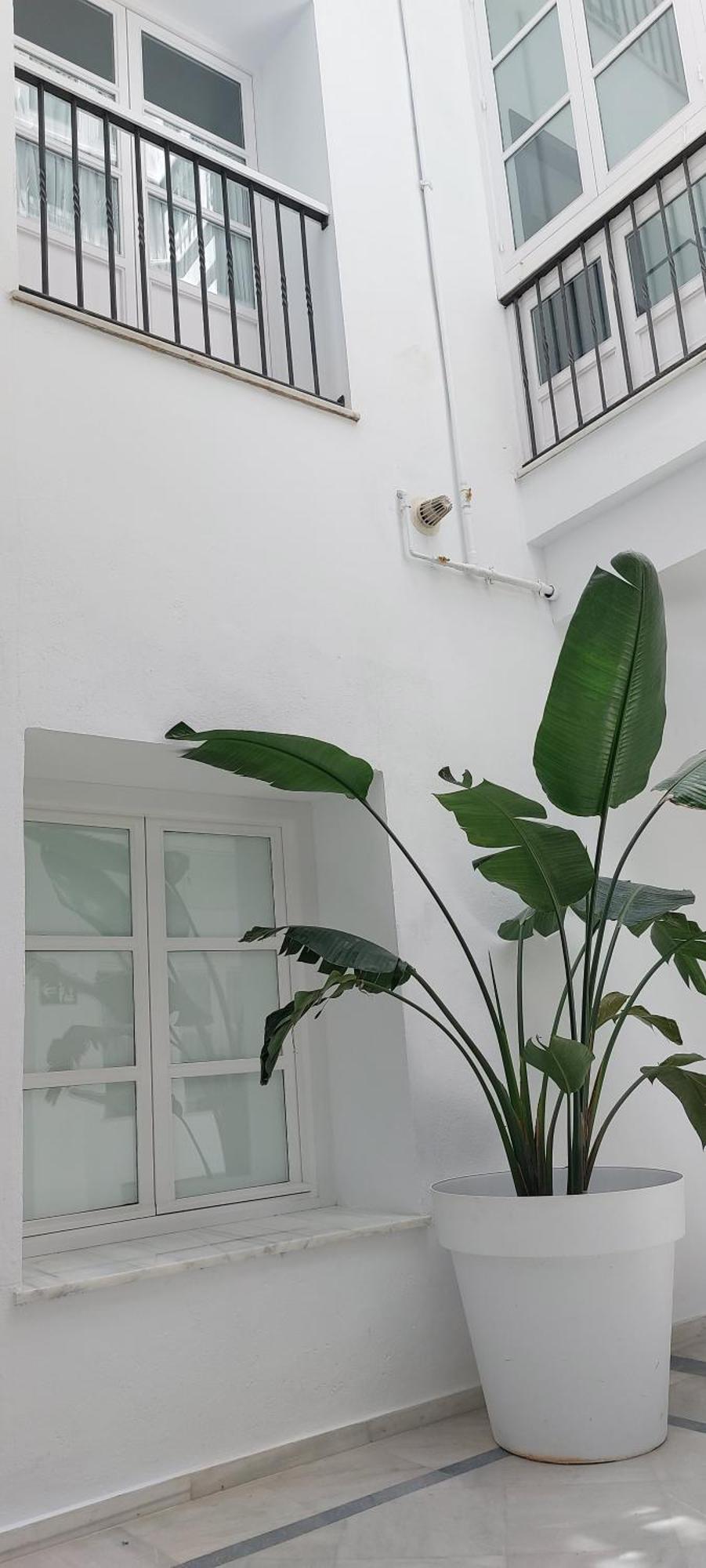 Apartmán El 2 De Flamenco Bajob Cádiz Exteriér fotografie